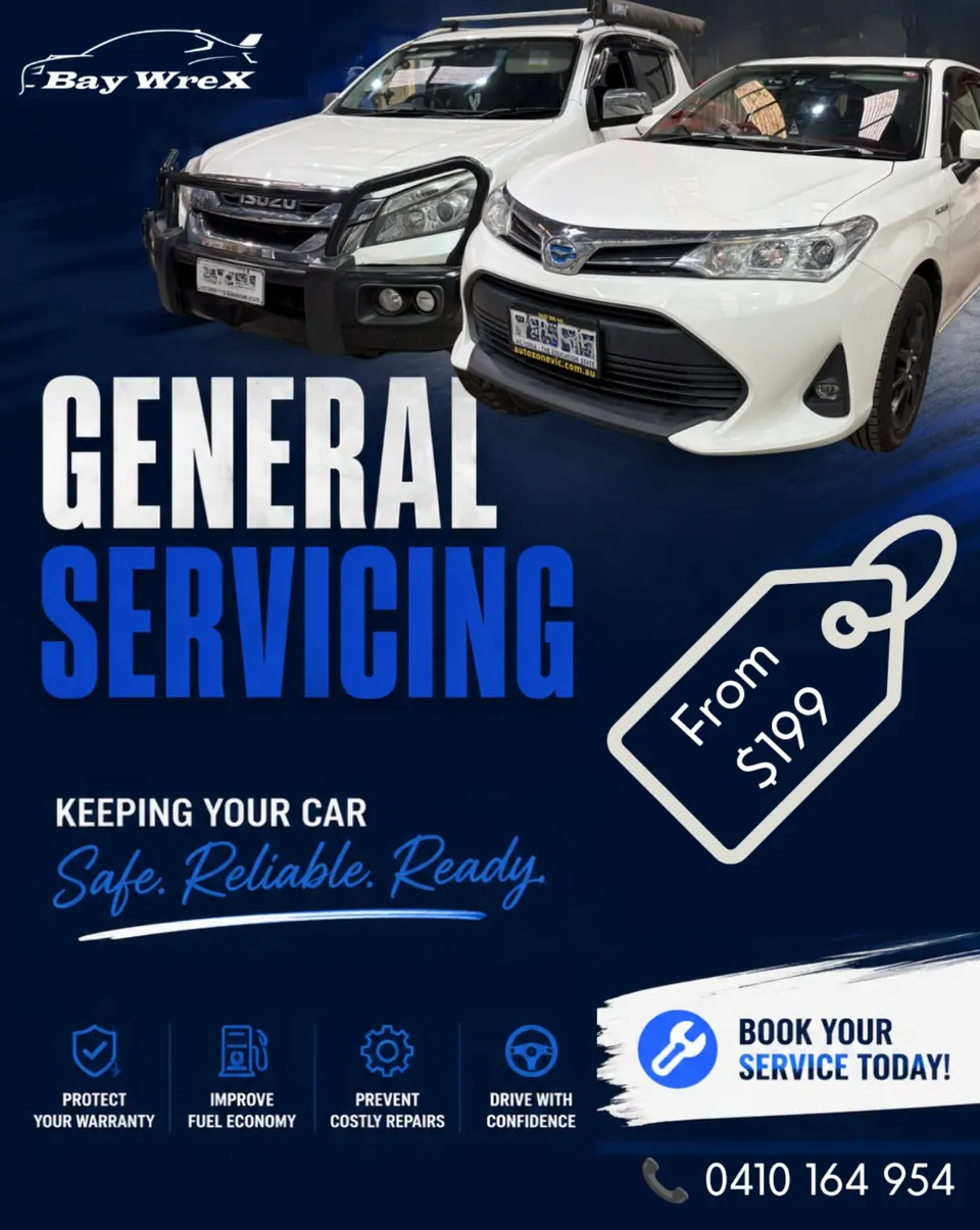Baywrex workshop feed